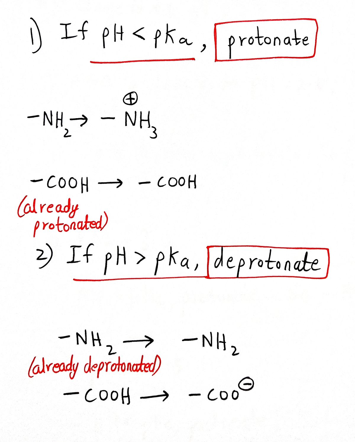 Chemistry homework question answer, step 1, image 1