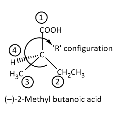 Answered: (S)-(-)-2-Methyl-1-butanol can be… | bartleby