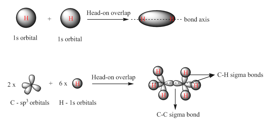 Answered: Explain how the symmetry of orbital… | bartleby