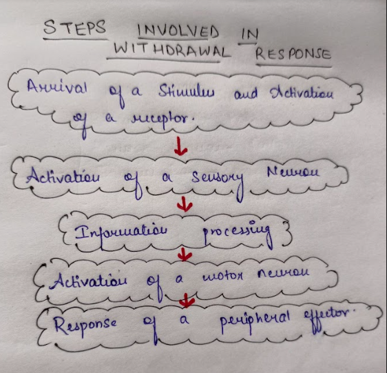 Biology homework question answer, step 1, image 1