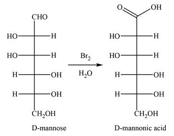 Answered: Draw and name the products of bromine… | bartleby