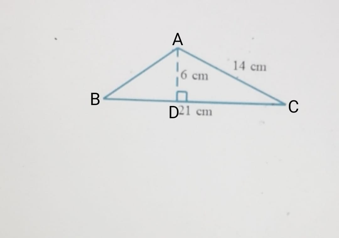 Algebra homework question answer, step 1, image 1