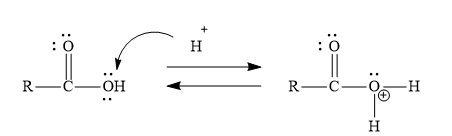 Answered: A carboxylic acid has two oxygen atoms,… | bartleby