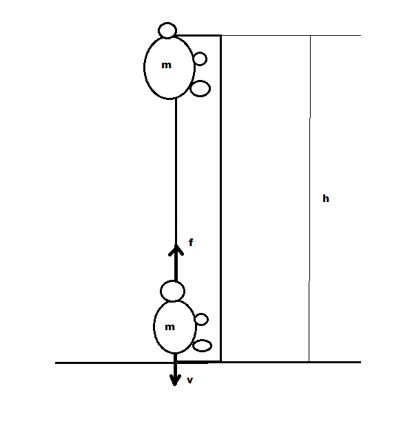 Physics homework question answer, step 1, image 1