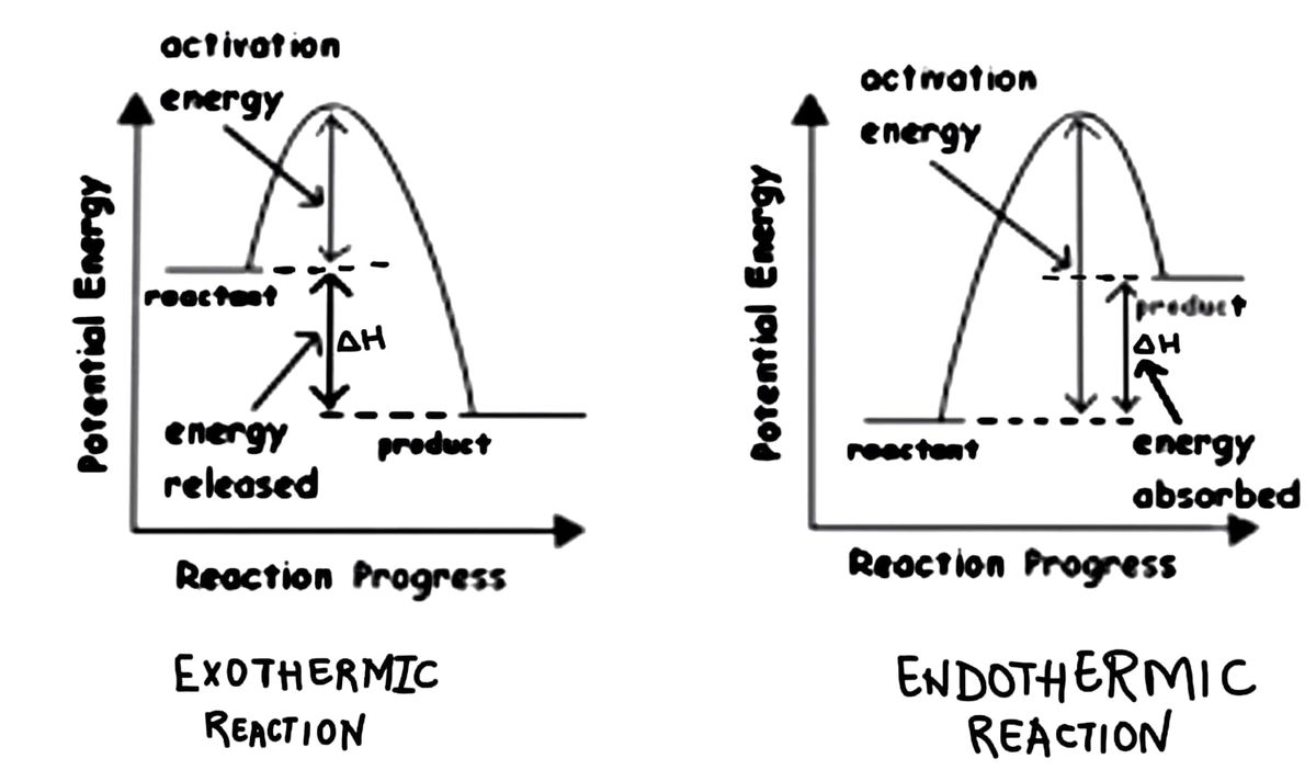 Chemistry homework question answer, step 1, image 1