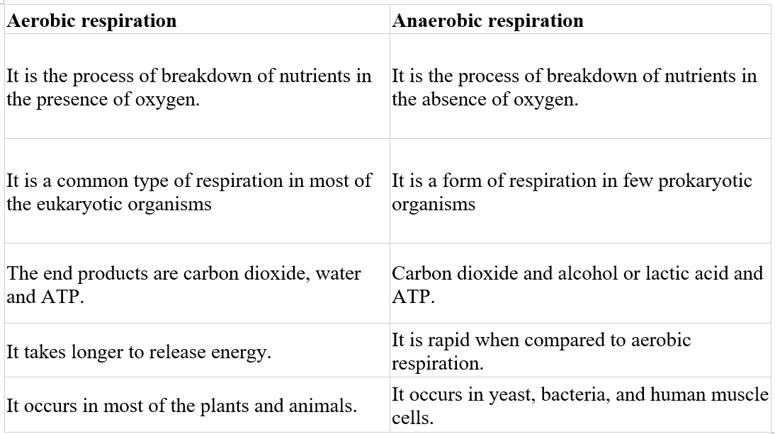 Answered What Are Differences Between Aerobic Bartleby