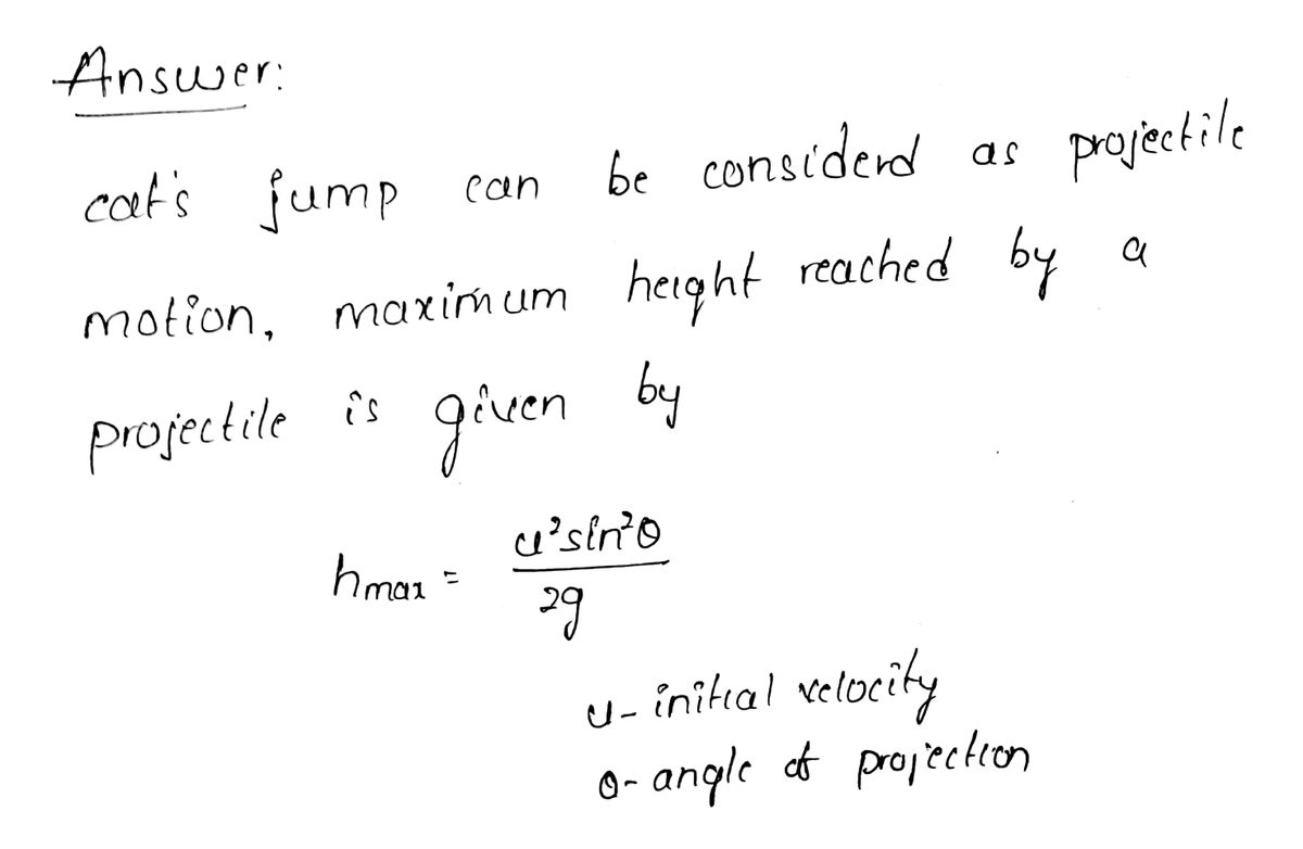 Physics homework question answer, step 1, image 1