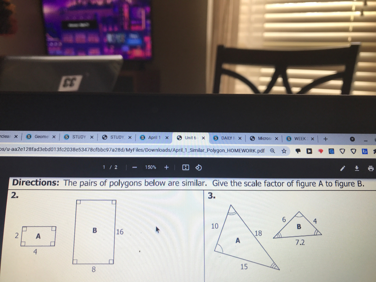 Answered: Directions: The Pairs Of Polygons Below… | Bartleby