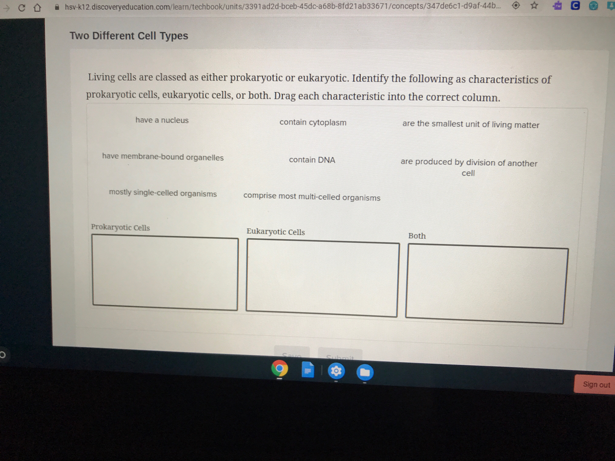 answered-living-cells-are-classed-as-either-bartleby