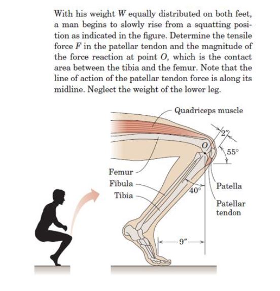 Answered: With His Weight W Equally Distributed… | Bartleby