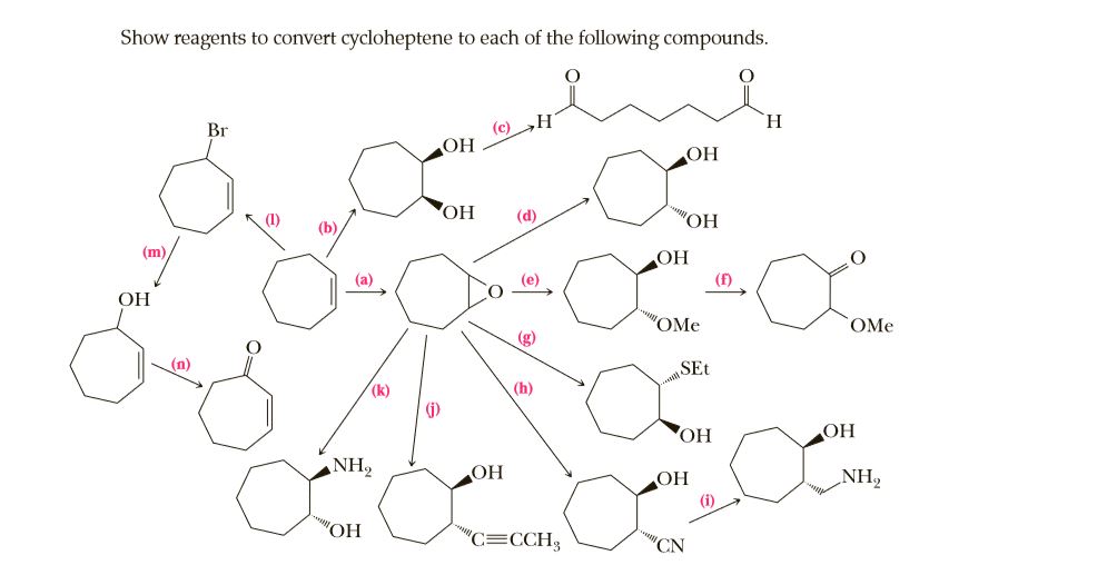 Answered Show Reagents To Convert Cycloheptene Bartleby