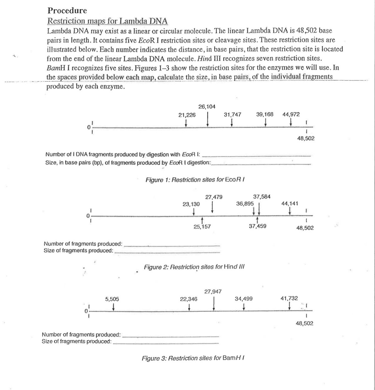 Answered Procedure Restriction Maps For Lambda Bartleby 8278