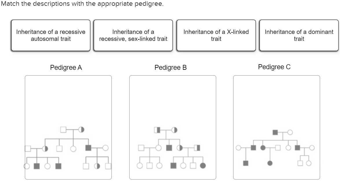 X Linked Inheritance Pedigree Nystagmus 1 Congenital X Linked