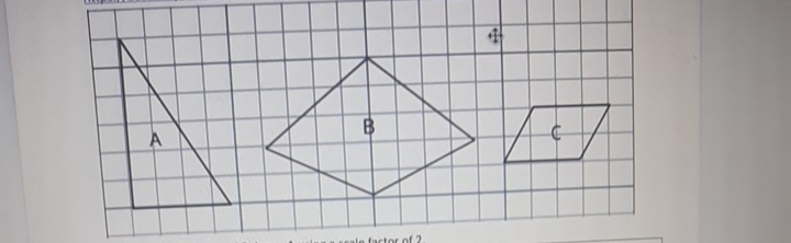 Answered: 2. Draw A Scaled Copy Of Polygon B… | Bartleby