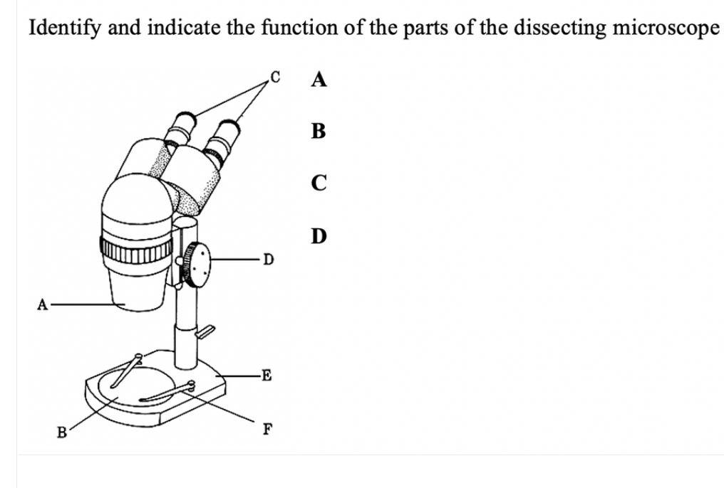 Answered: Identify And Indicate The Function Of… | Bartleby