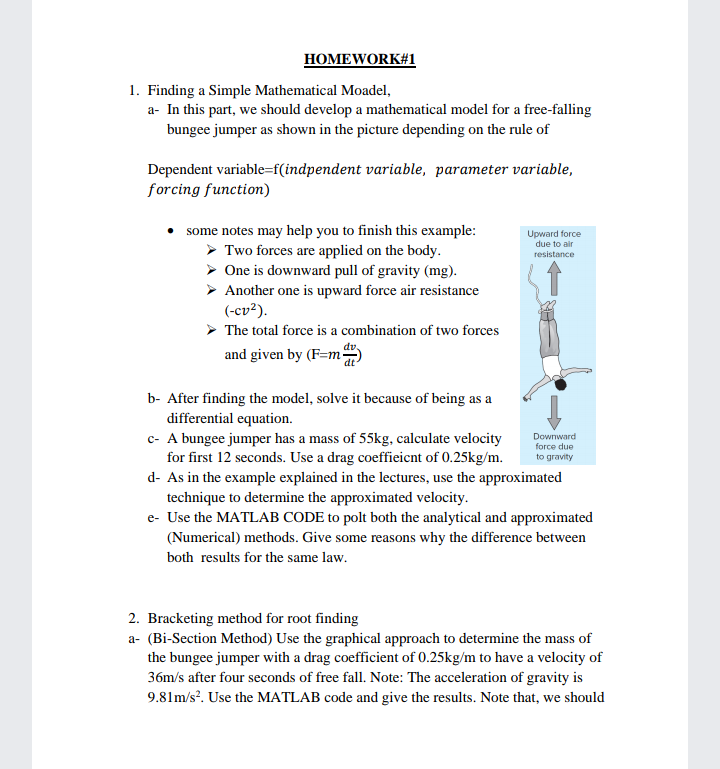 Answered 1 Finding A Simple Mathematical Bartleby