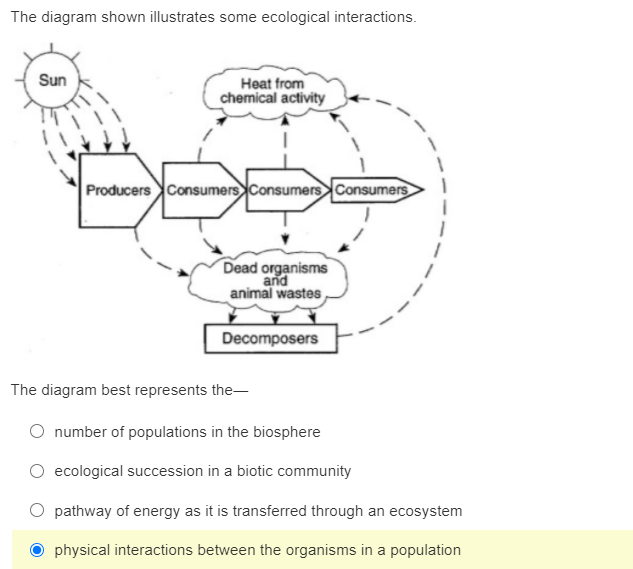 Answered: The Diagram Best Represents The- Number… | Bartleby