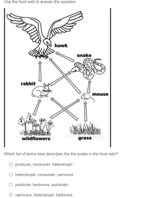 Answered: hawk snake rabbit mouse wildflowers… | bartleby