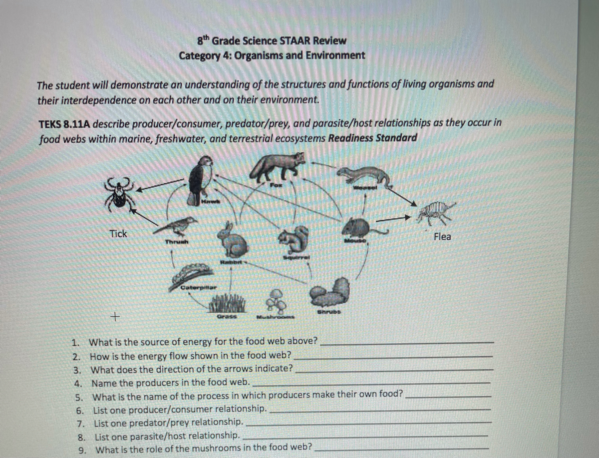 Answered: Hawk Tick Flea Thrush Rabbit Caterpilla… | bartleby