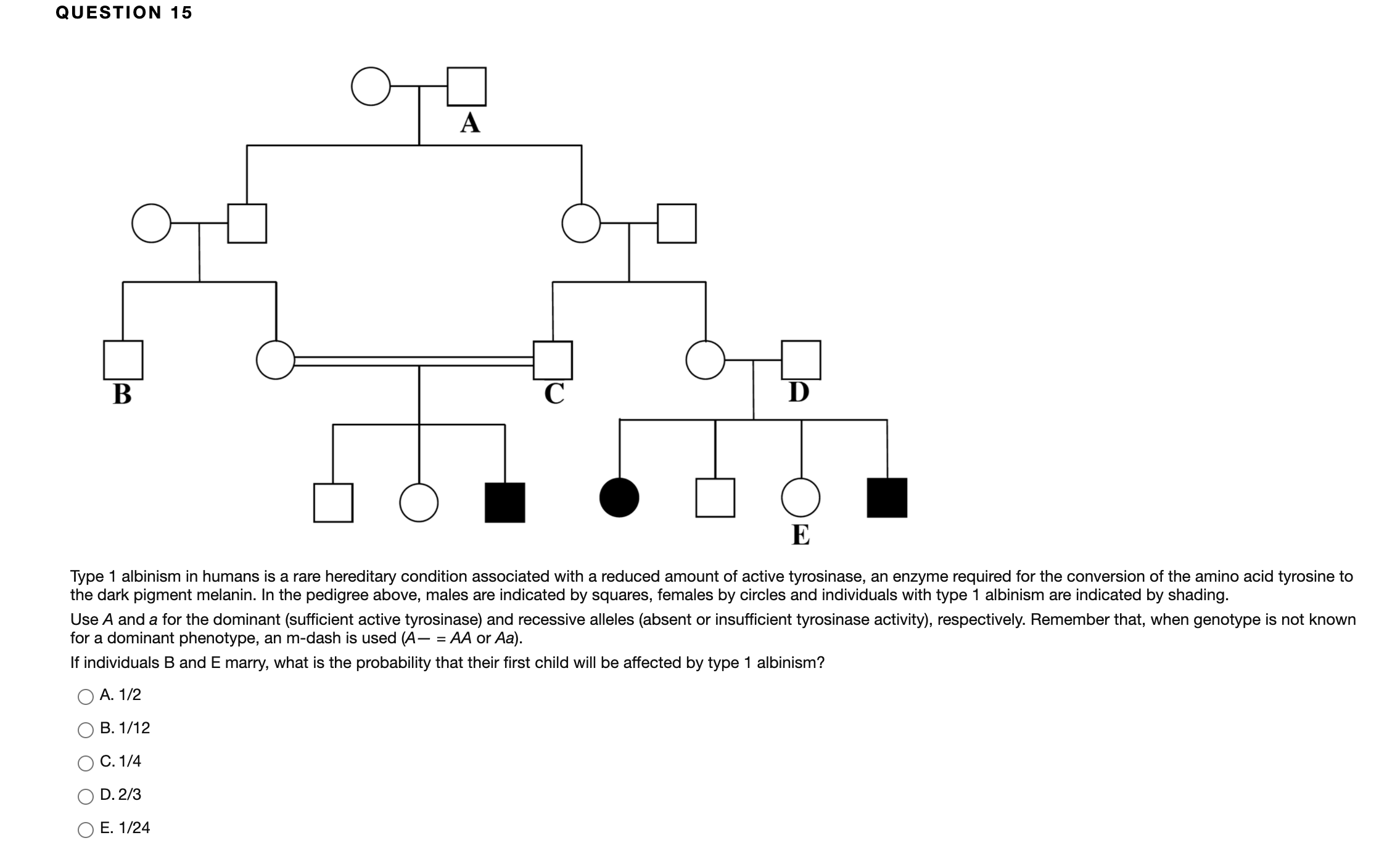 Answered: Type 1 albinism in humans is a rare… | bartleby