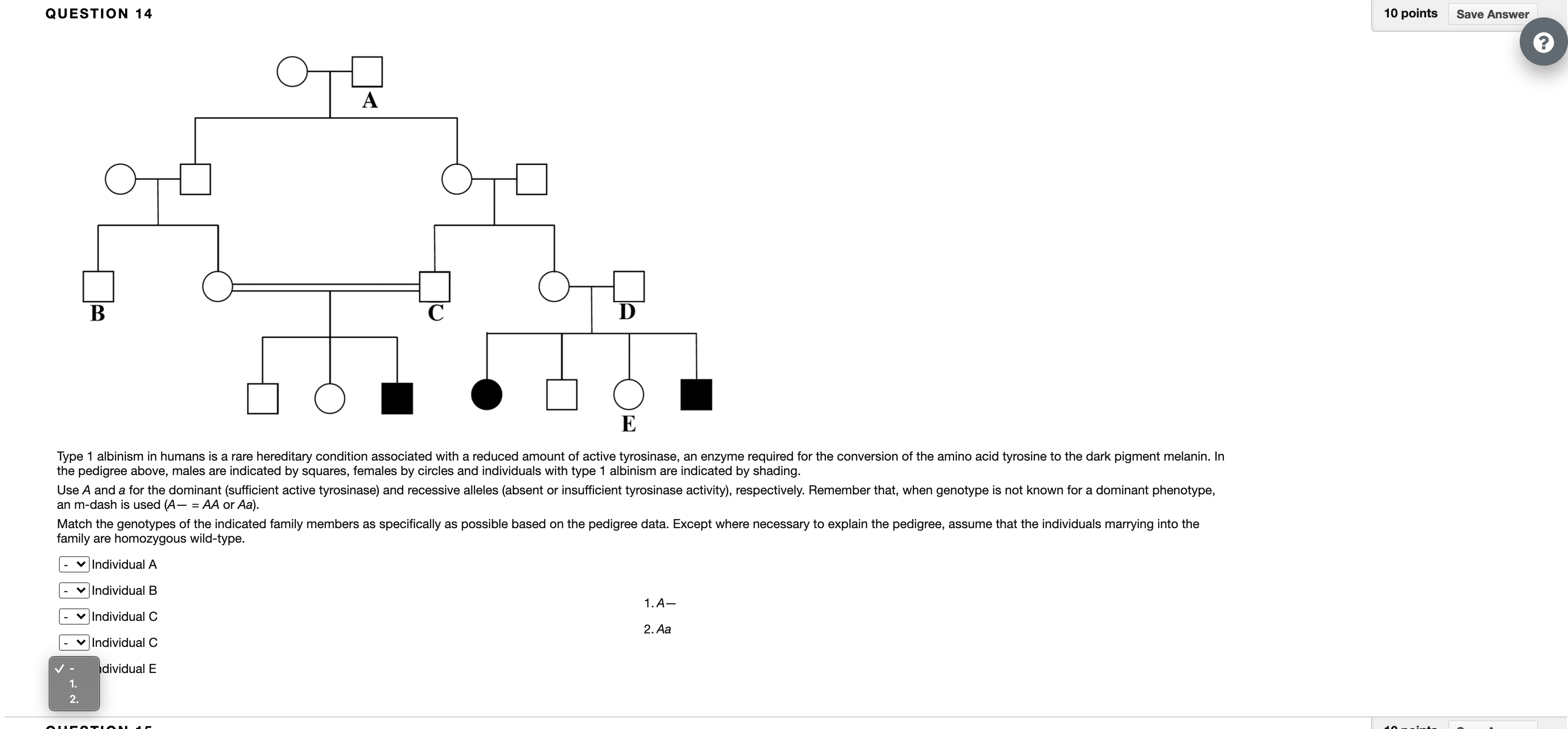 Answered Match the genotypes of the indicated… bartleby