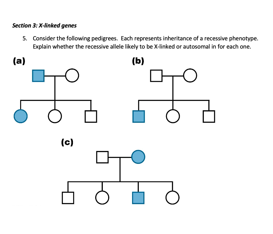 Y Linked Pedigree