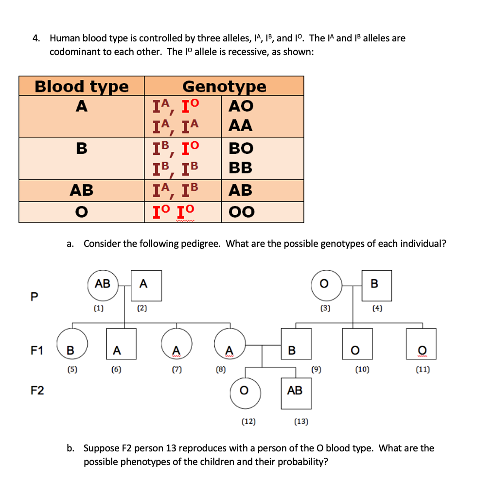 answered-4-human-blood-type-is-controlled-by-bartleby