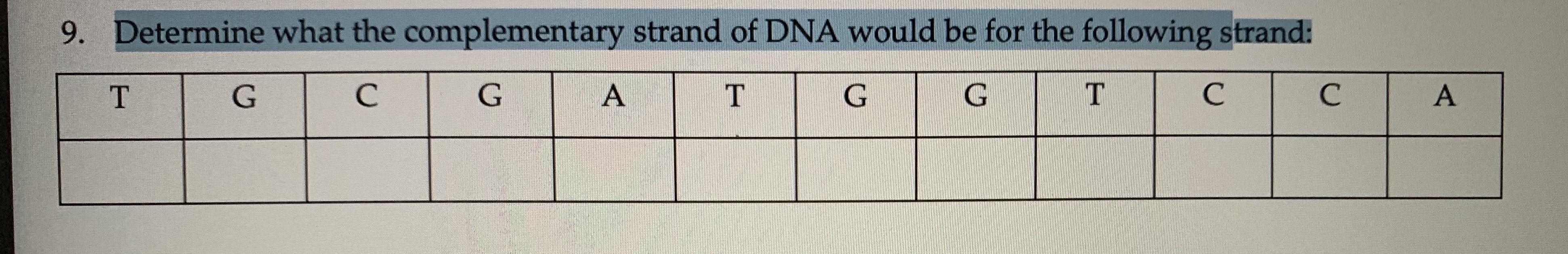 complementary dna strand calculator