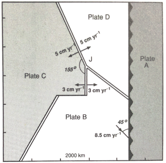 Answered: 1. All Plates A-D Shown In The Figure… | Bartleby