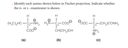 Answered Identify Cach Amino Shown Below In Bartleby