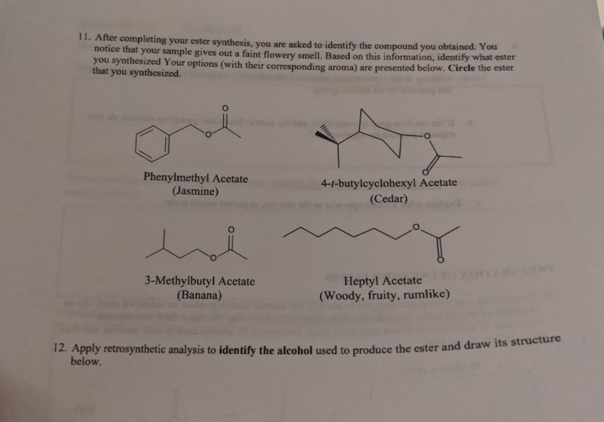 Alcohol that forms n heptyl acetate