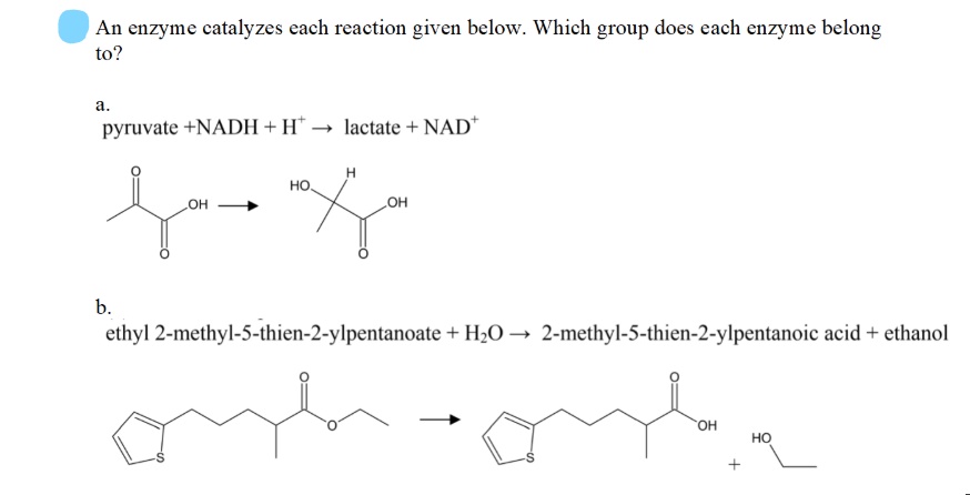 Answered: An enzyme catalyzes each reaction given… | bartleby