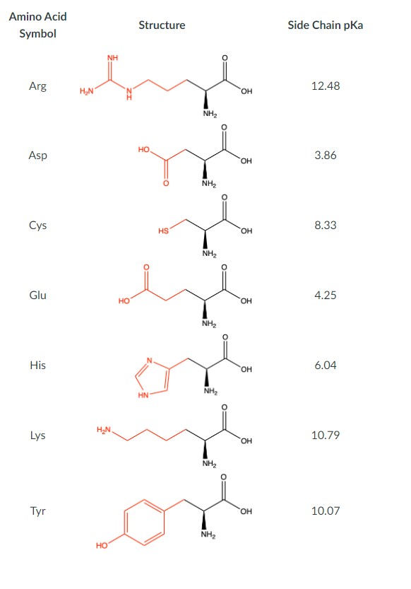 Answered: Which of the amino acid side-chains… - bartleby