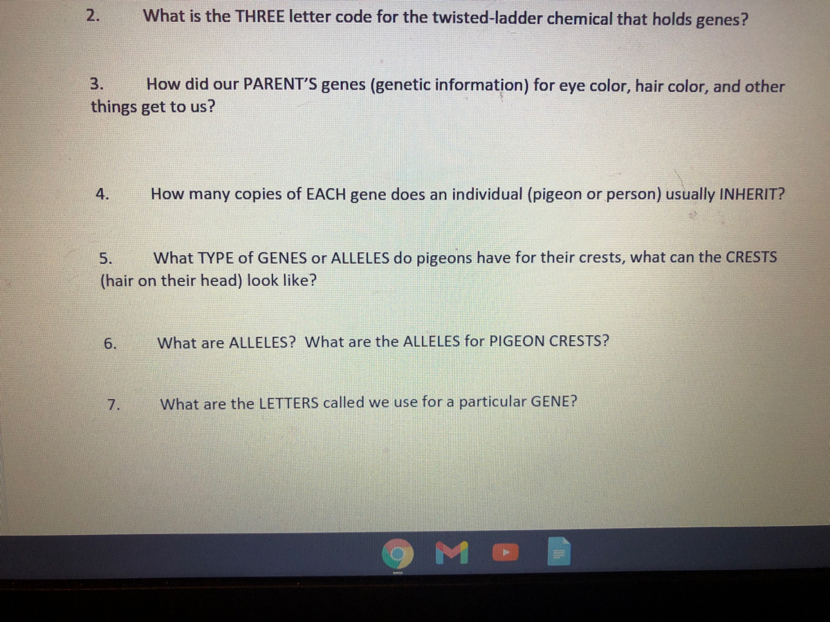 Answered: Answer All | Bartleby