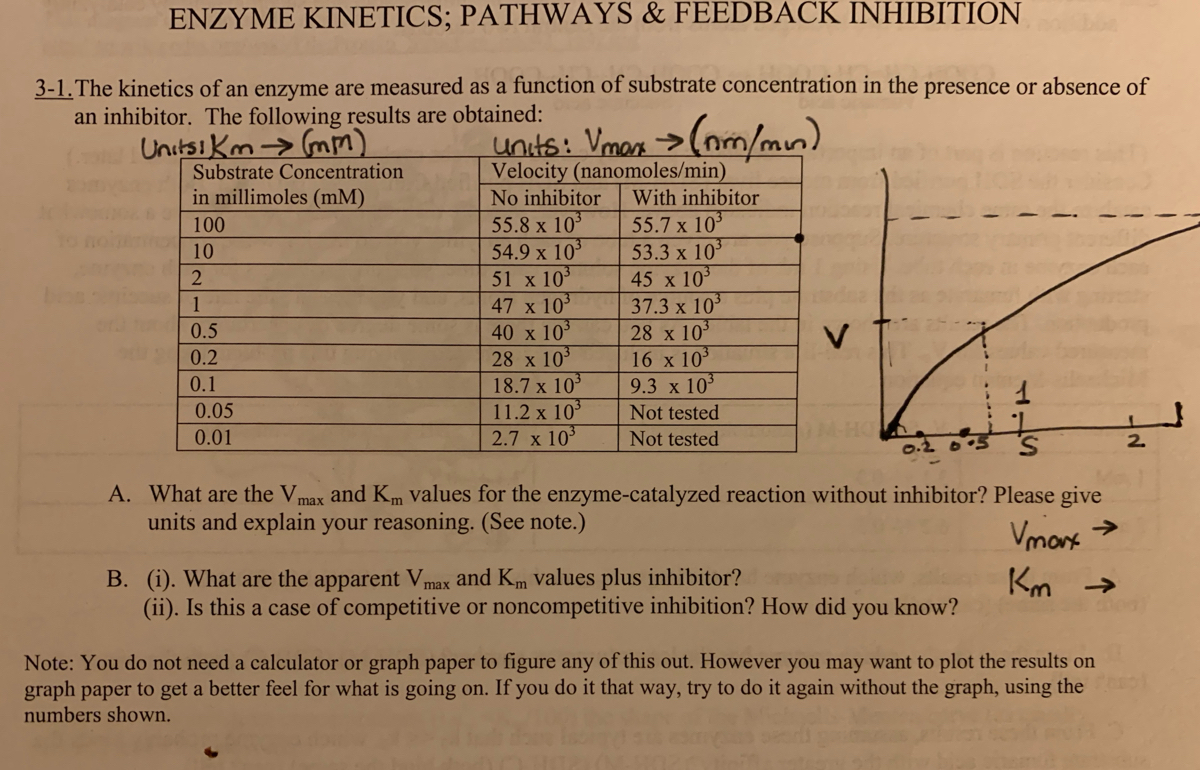 Answered 1 The Kinetics Of An Enzyme Are Bartleby