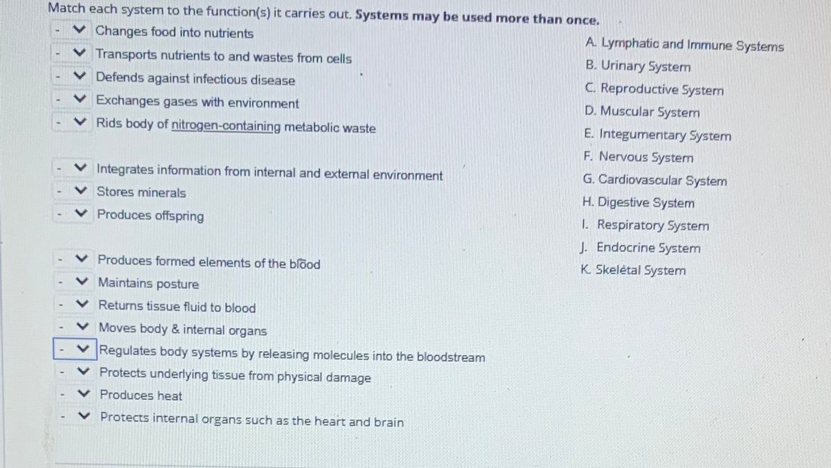 Answered: Match each system to the function(s) it… | bartleby