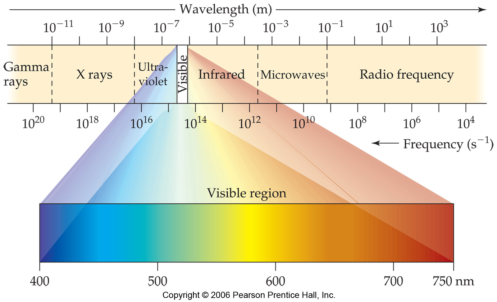 Answered Wavelength (m) 107 1011 109 105… bartleby