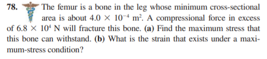 Answered The Femur Is A Bone In The Leg Whose Bartleby