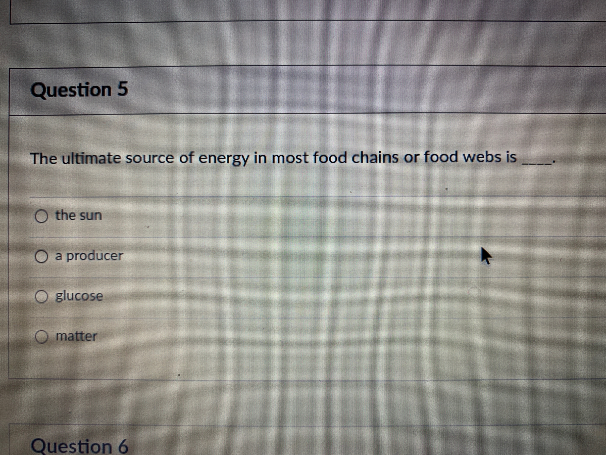 ultimate source of energy in most food chains