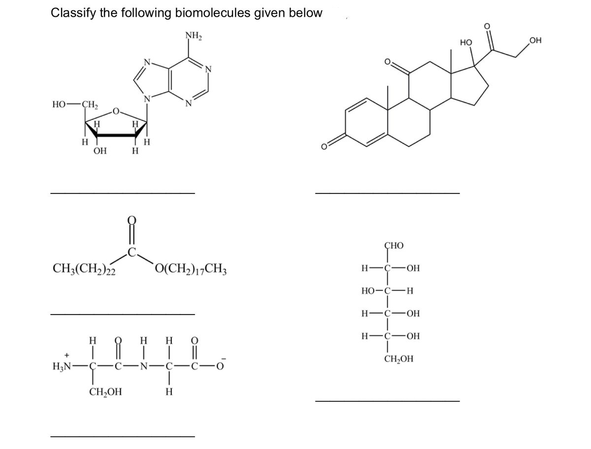 Answered Classify The Following Biomolecules Bartleby