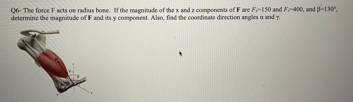 Answered Q6 The Force F Acts On Radius Bone If Bartleby