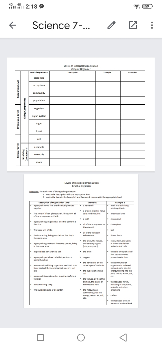 Answered Levels Of Biological Organization Bartleby