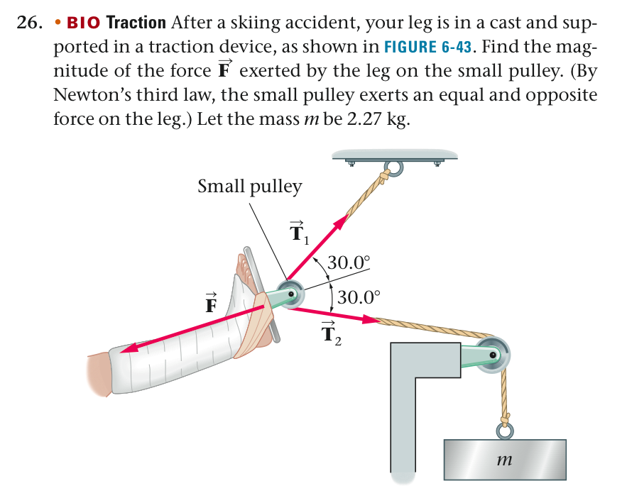 answered-26-bio-traction-after-a-skiing-bartleby