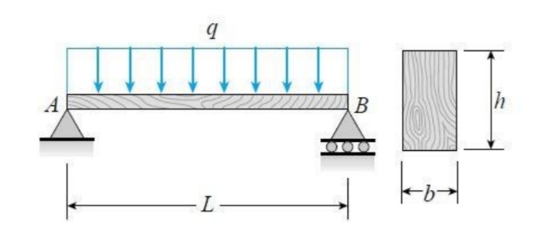 Answered: A Simply Supported Wood Beam AB With… | Bartleby