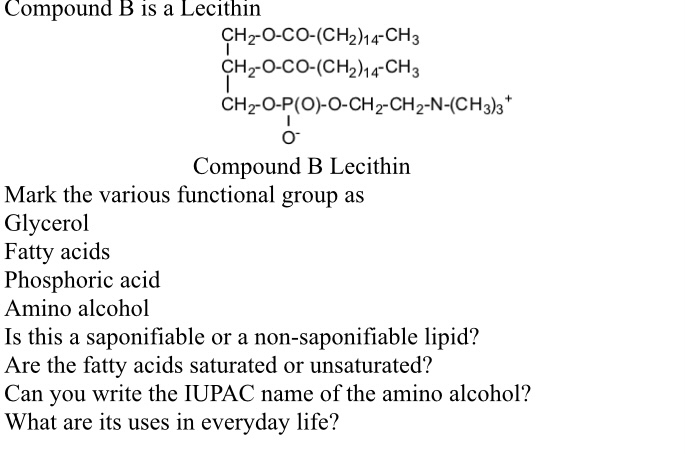 Answered Compound B Is A Lecithin Bartleby