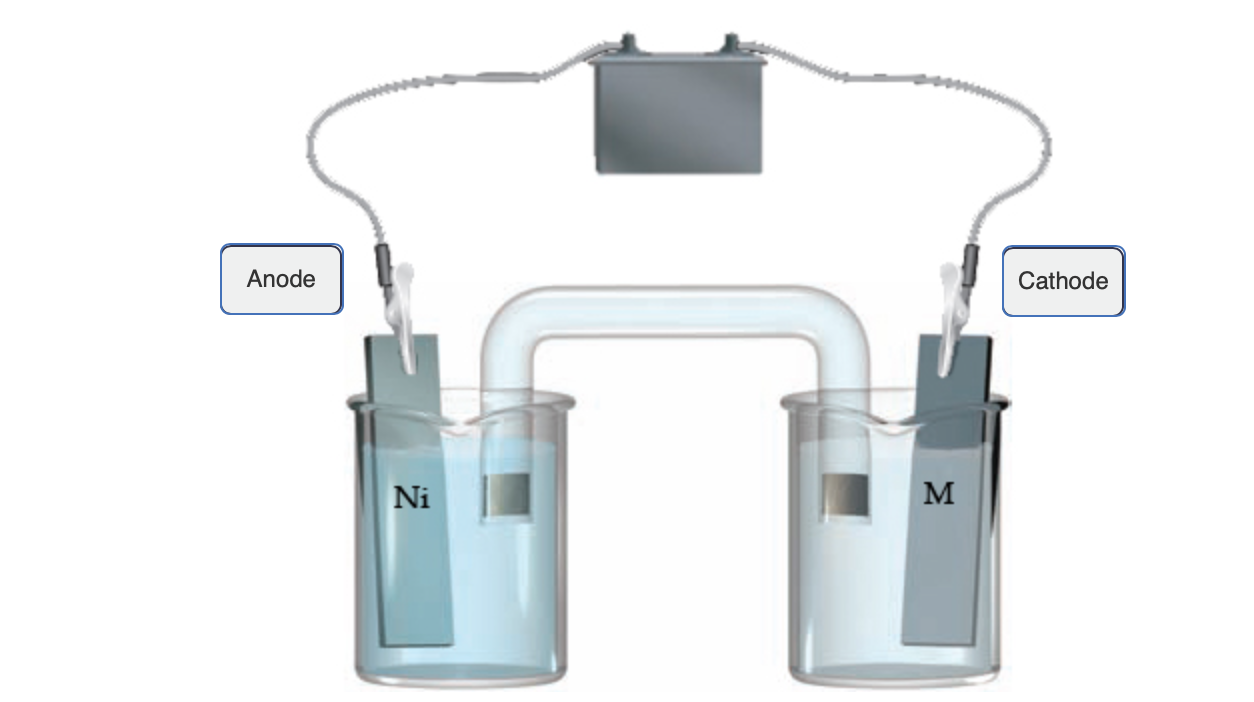 Answered: Anode Cathode Ni MA | bartleby