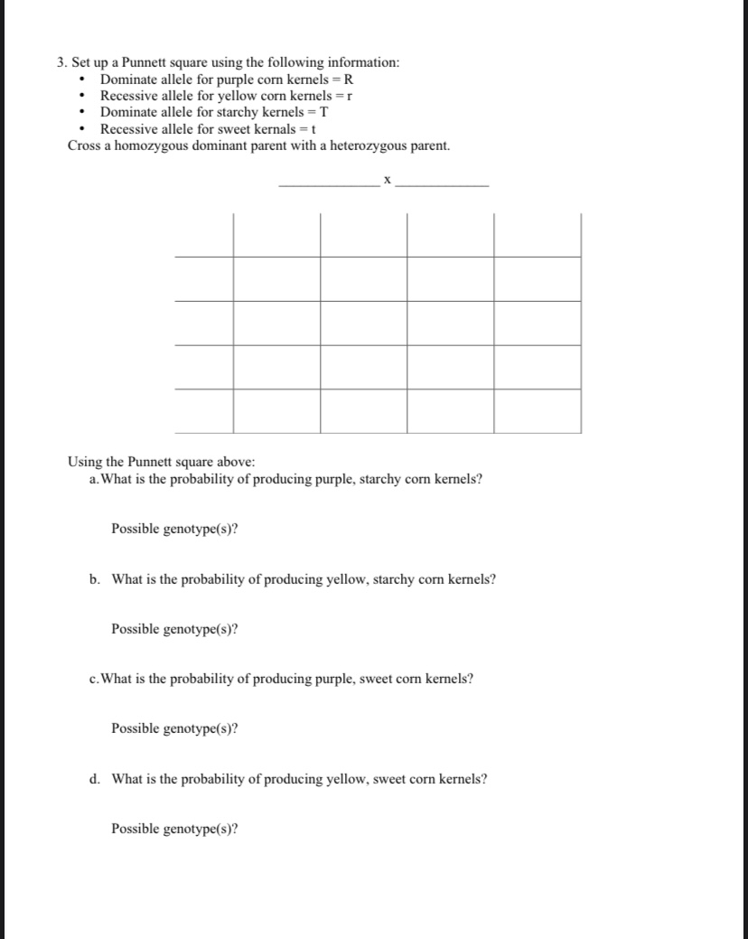 Answered: 3. Set up a Punnett square using the… | bartleby