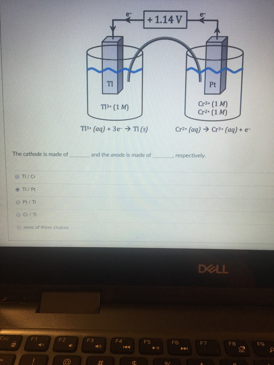 Cathode Essays