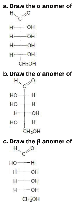 Answered A Draw The A Anomer Of N N Ho N O Bartleby