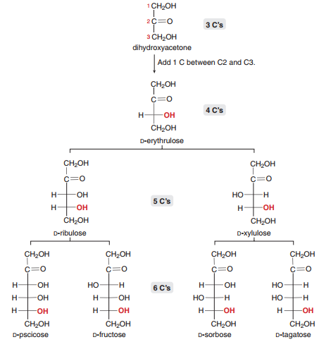 Answered Snon 3 C S Z Cn Oh Dihydroxyacetone Add Bartleby